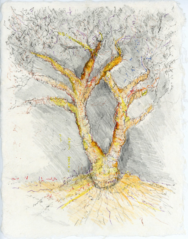 Straw Wrapped Tree.sketch.01 by Mary Higgins