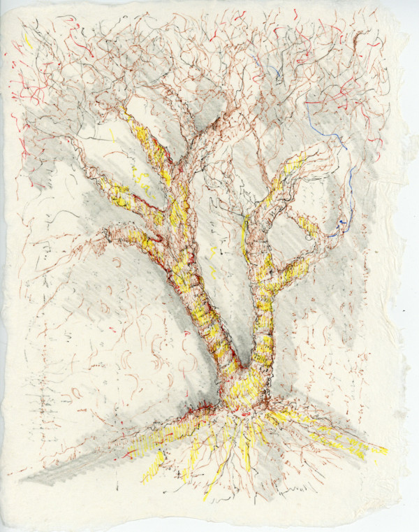 Straw Wrapped Tree.sketch.02 by Mary Higgins