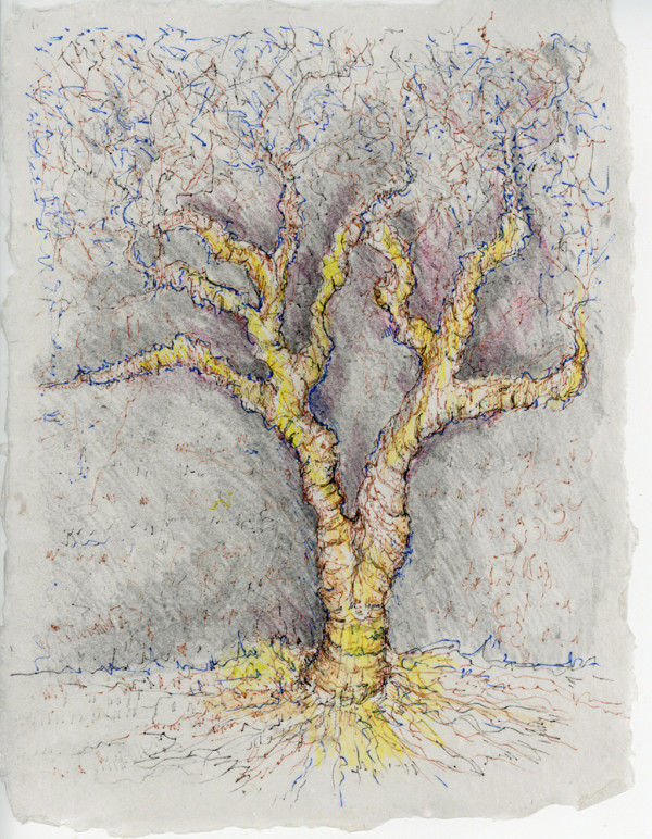 Straw Wrapped Tree.sketch.03 by Mary Higgins