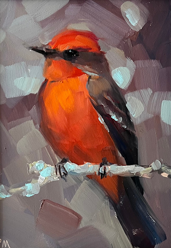 Vermillion Flycatcher by Patti McNutt