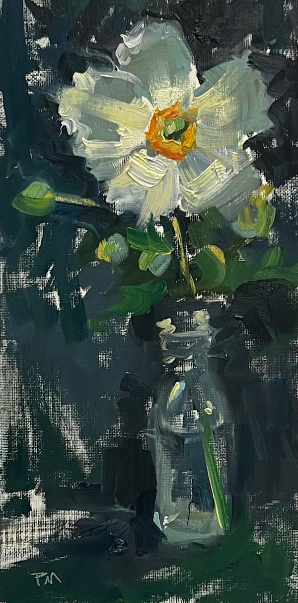 Anemone by Patti McNutt