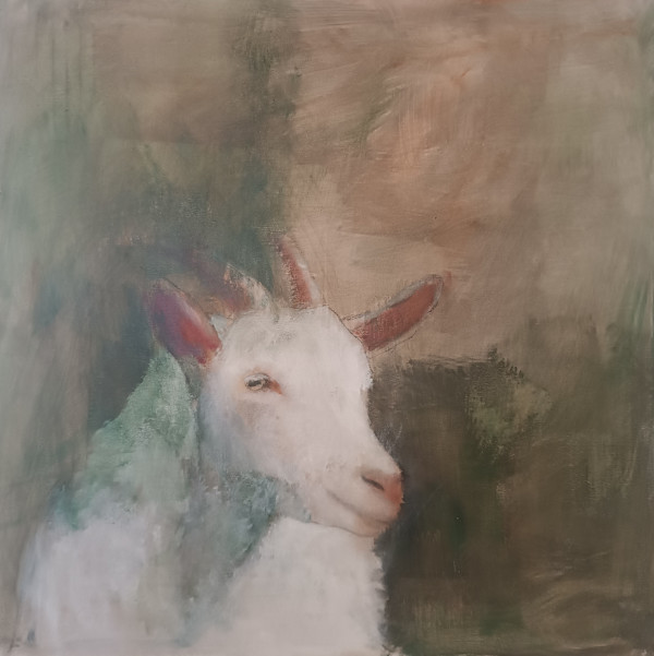 Dreamy Goat > Animals - Goats by Meinke Flesseman, Image 1.