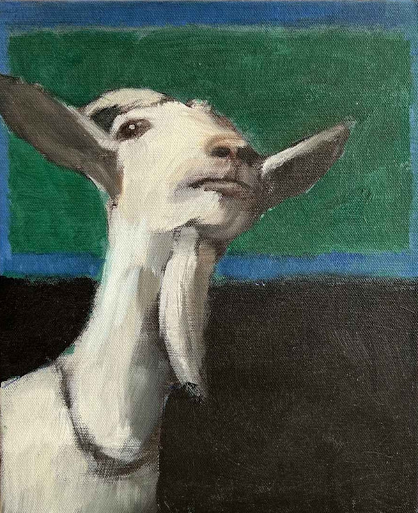 Aníbal by Meinke Flesseman