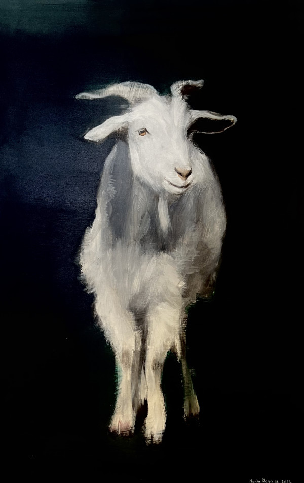Goat 3 by Meinke Flesseman