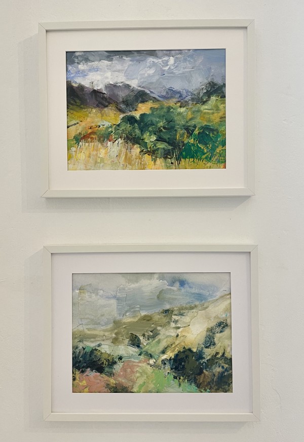 Landscapes by Meinke Flesseman