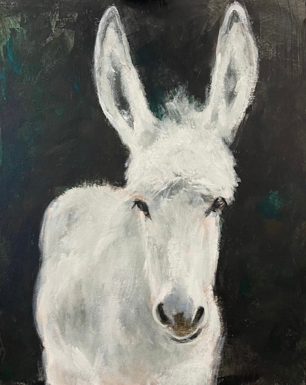 Américo by Meinke Flesseman