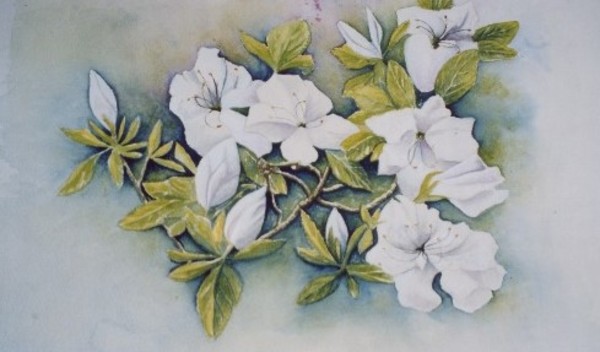 2003 Azaleas by jeanps