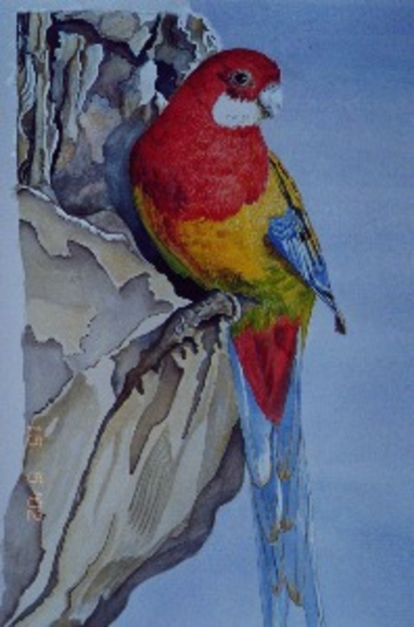 2002 Rosella by jeanps