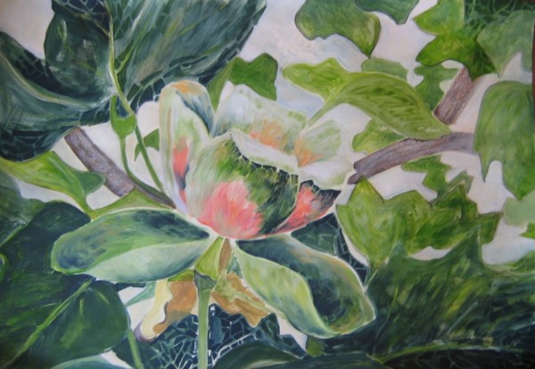 2008 Tulip tree 1 by jeanps