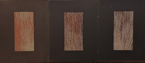 Untitled Zerox triptych Grass 3851 by Richard Morrison