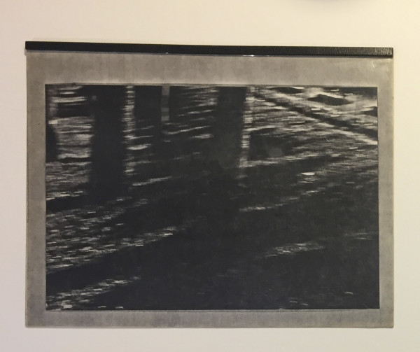 Book with Tree Trunks by Richard Morrison