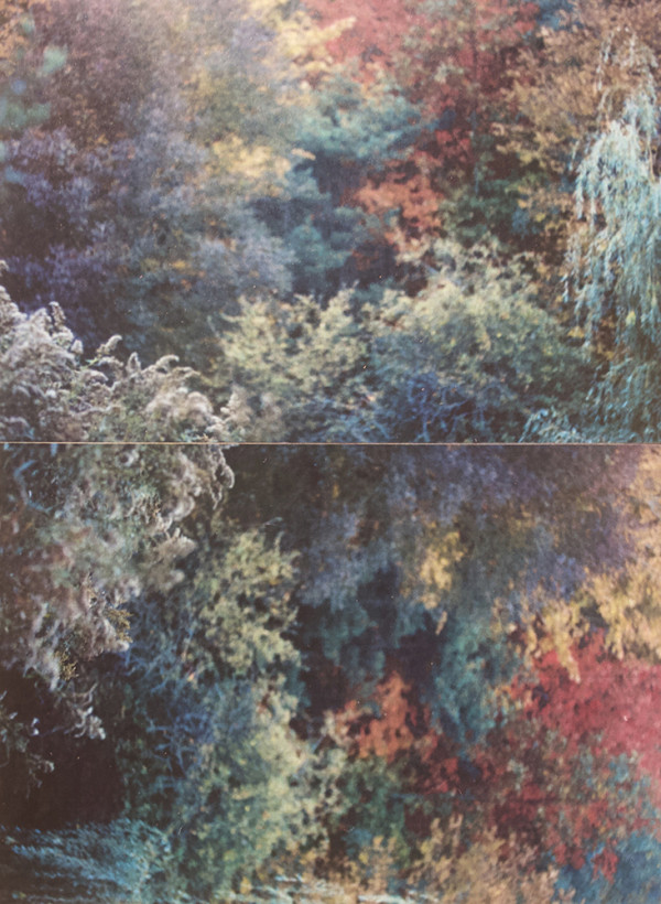 Fall Diptych by Richard Morrison