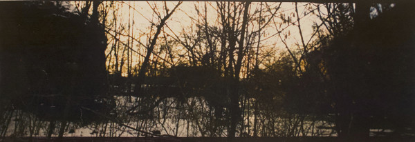 Winter Scape Xerox by Richard Morrison