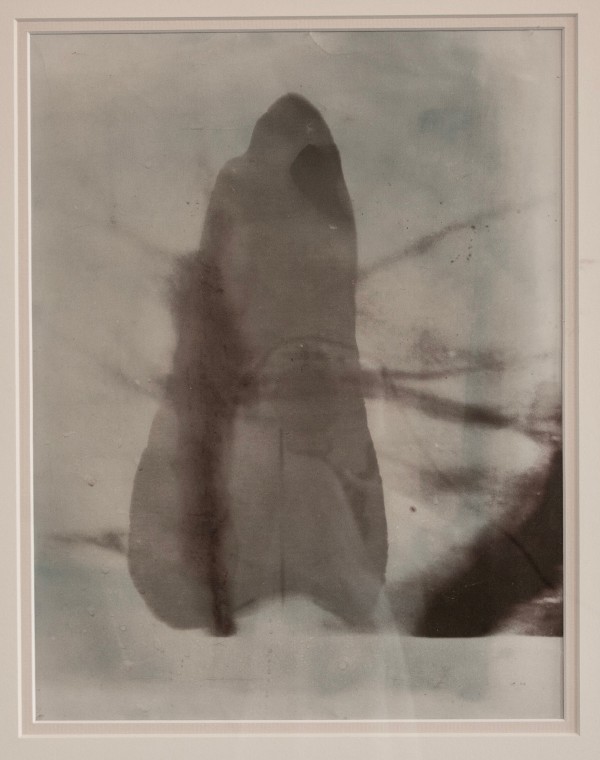 Bleach Landscape by Richard Morrison