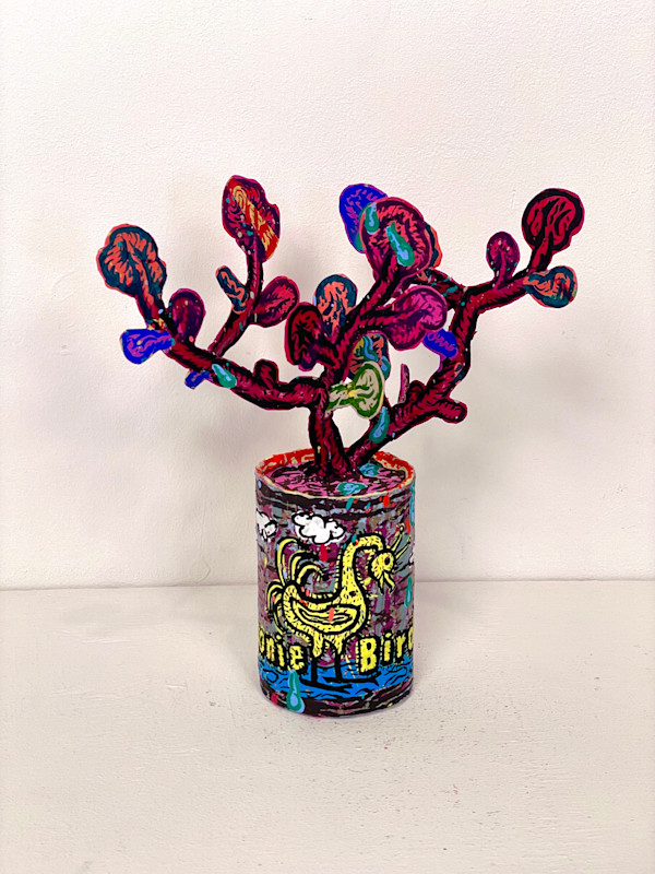 Goonie Bird (Succulent) by Taylor McKimens, Image 2.
