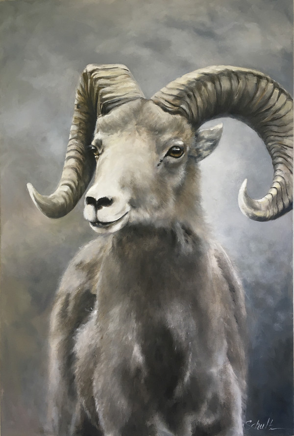 Desert Bighorn Sheep by Sandra Schultz