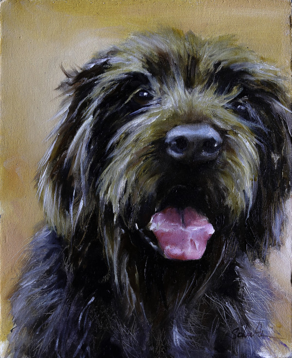 Cori Griffon Dog Portrait by Sandra Schultz