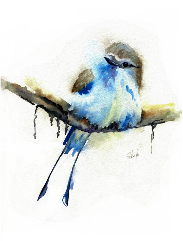 European Roller Bird by Sandra Schultz