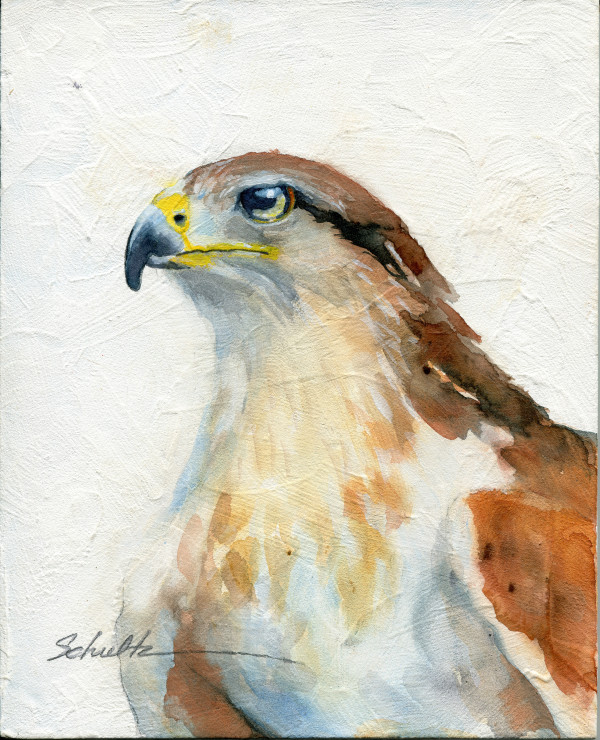 Sierra Raptor Series Ferruginous Hawk by Sandra Schultz