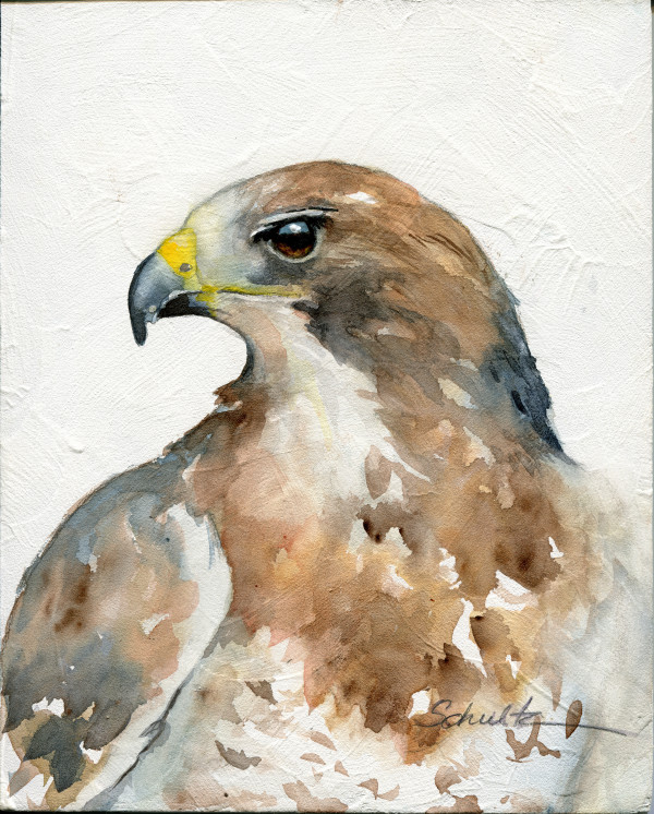 Sierra Raptor Series Swainson's Hawk by Sandra Schultz