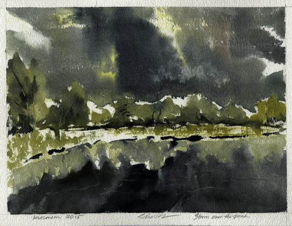 Storm Over the Pond by Sandra Schultz