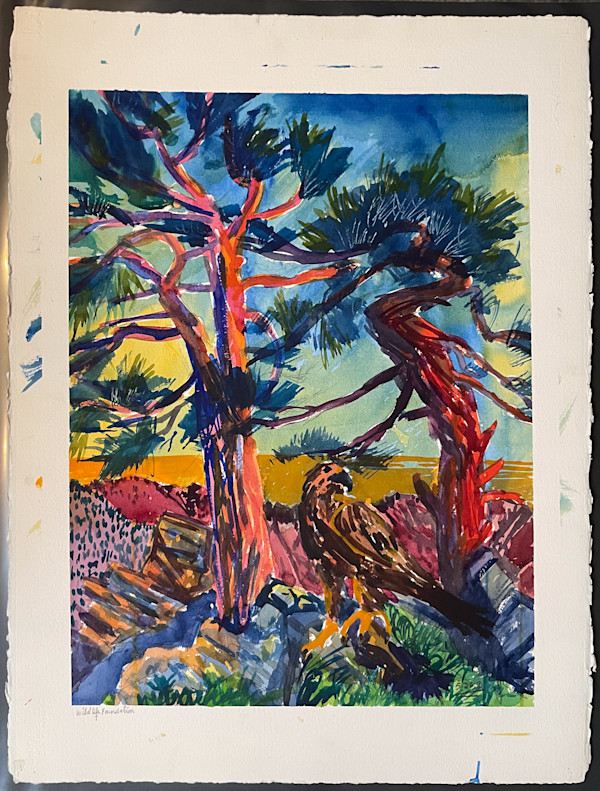 Wildlife Foundation by The Estate of Don Blaisdell