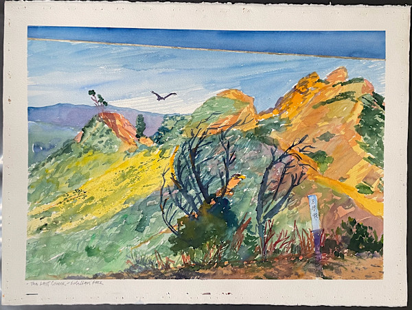 The Last Condor – Edelman Park by The Estate of Don Blaisdell