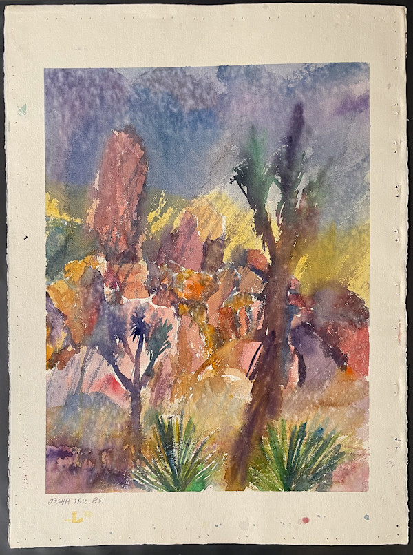 Joshua Tree, P.S. by The Estate of Don Blaisdell