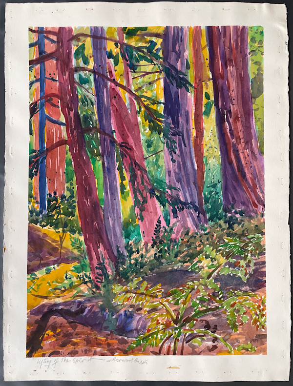 Lifting of the Spirit, Redwood Basin by The Estate of Don Blaisdell