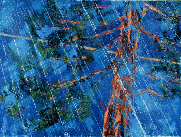 Acid Rain by Augustine Blaisdell