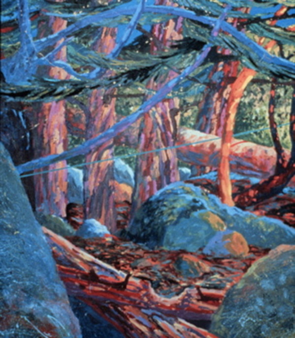 Redwoods by The Estate of Don Blaisdell
