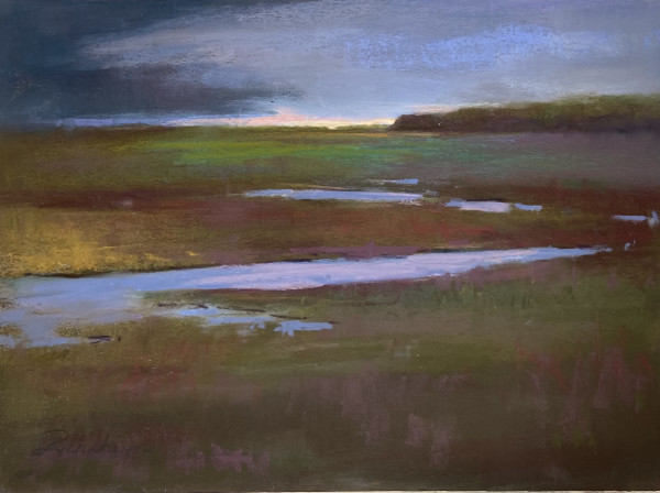 Storm over the Wetland by Linda Richichi