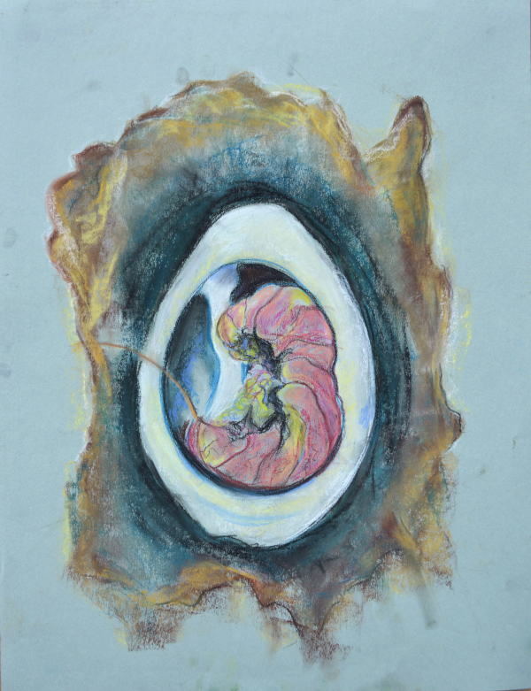 Embryo by Katherine Duncan