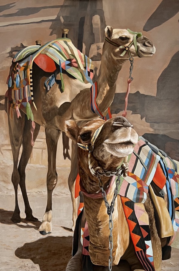 Duo of Camels by Luke Parry