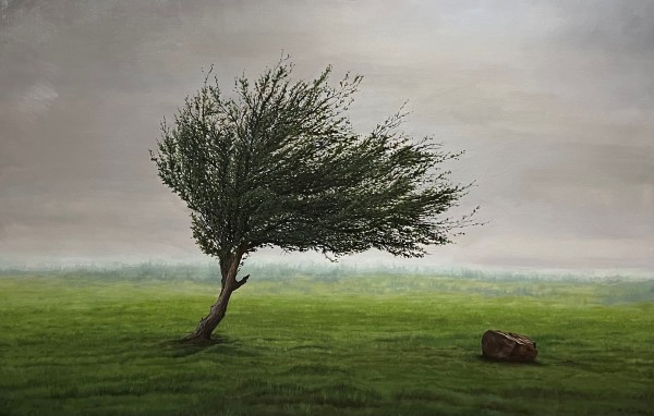 The Olive Tree and Rejected stone by Luke Parry
