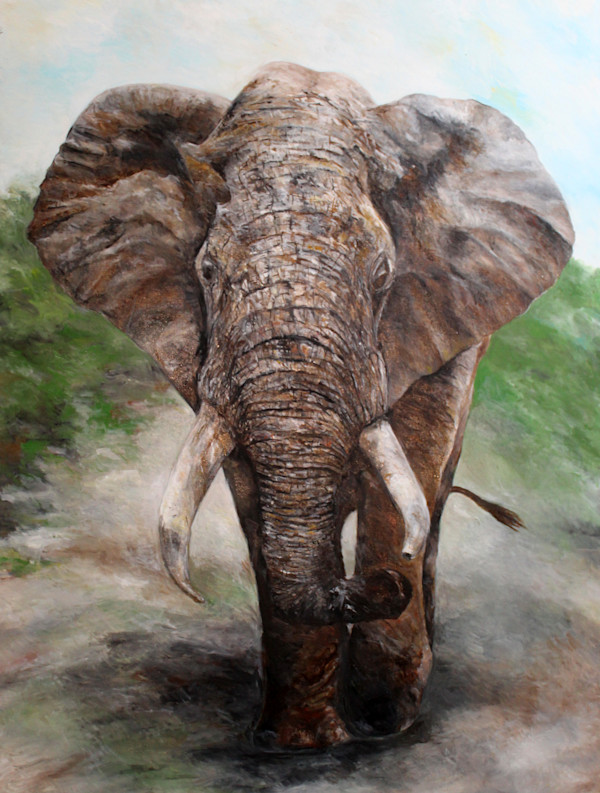 Elephant in the Wild by Daniel Albers