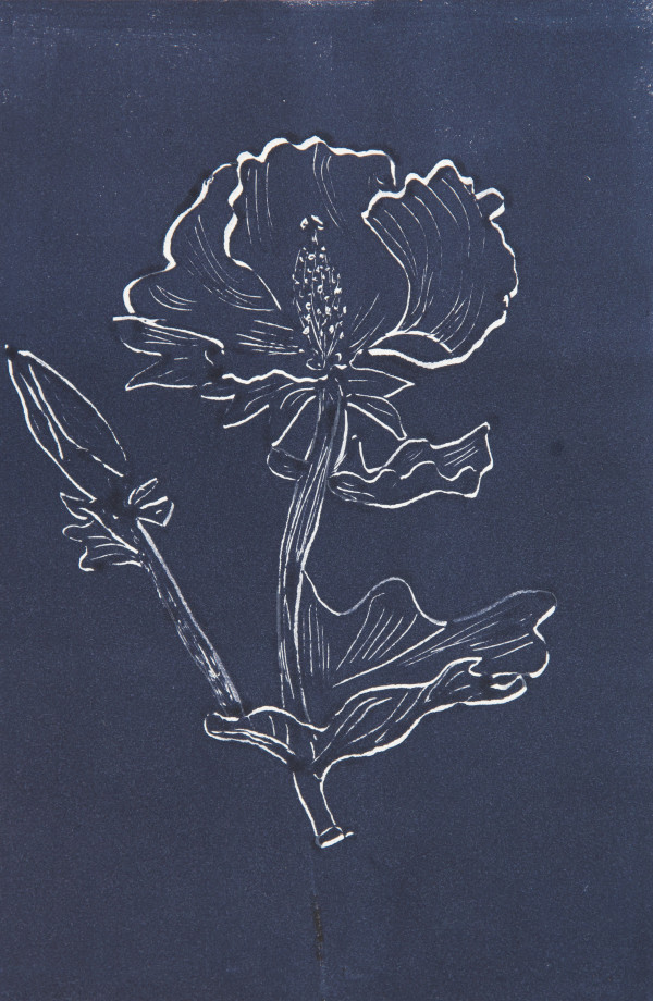Poppy B&W Monotype by Margaret Johnson