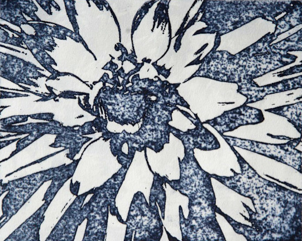 Blue Dahlia Solar Plate Print by Margaret Galvin Johnson