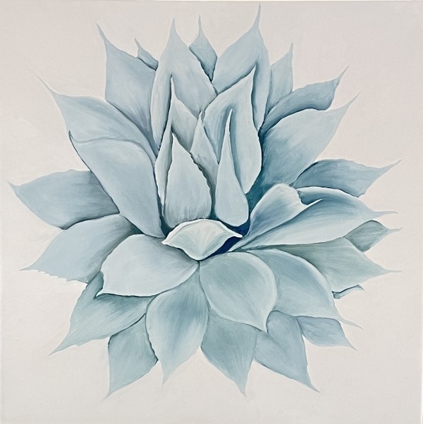 Agave #2 by Margaret Galvin Johnson