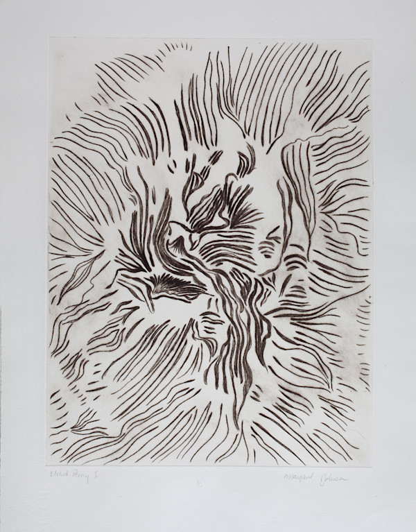 Etched Peony by Margaret Galvin Johnson