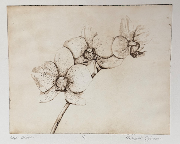 Sepia Orchid by Margaret Galvin Johnson