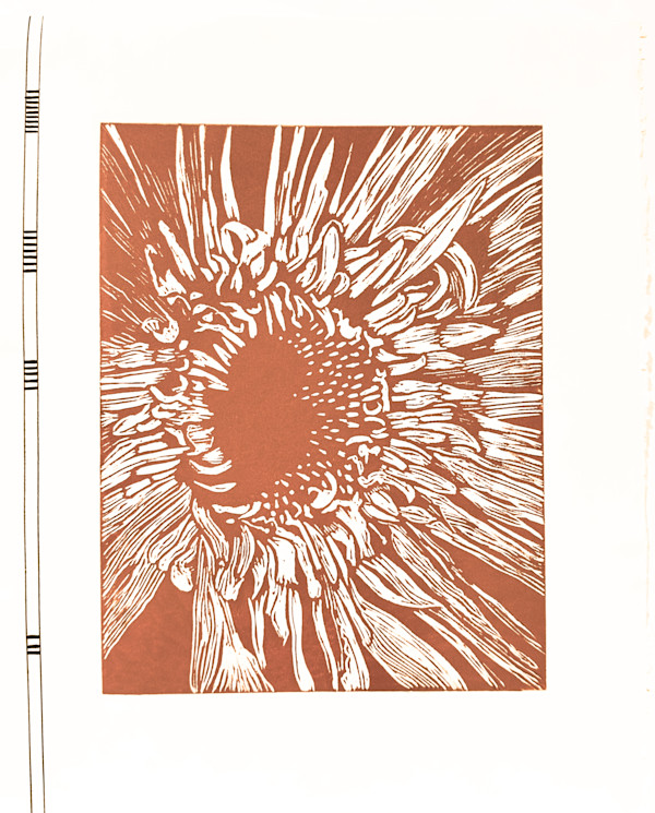 Grounding by Margaret Galvin Johnson