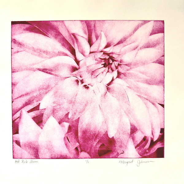 Hot Pink Mum by Margaret Galvin Johnson