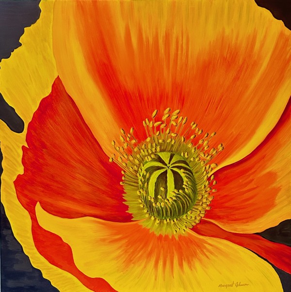 Poppy Revisited by Margaret Galvin Johnson