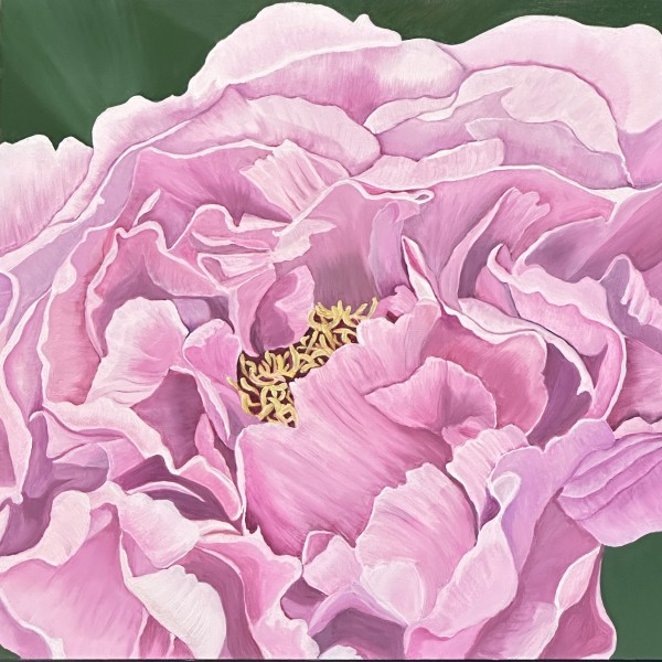 Wendy's Peony by Margaret Galvin Johnson