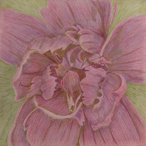 Magenta Paintbrush by Margaret Galvin Johnson, Image 1.