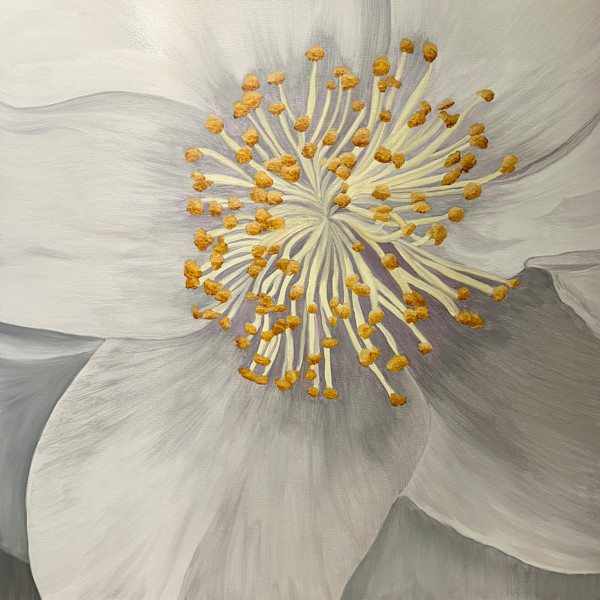 White Peony by Margaret Galvin Johnson, Image 1.