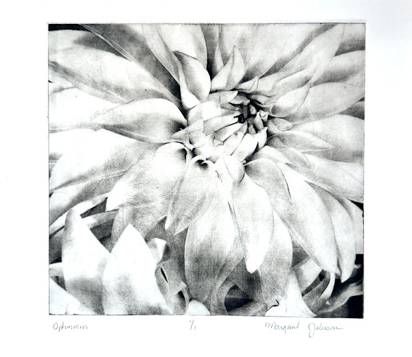 Optimism by Margaret Galvin Johnson