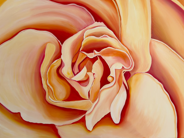 Peach Rose by Margaret Galvin Johnson