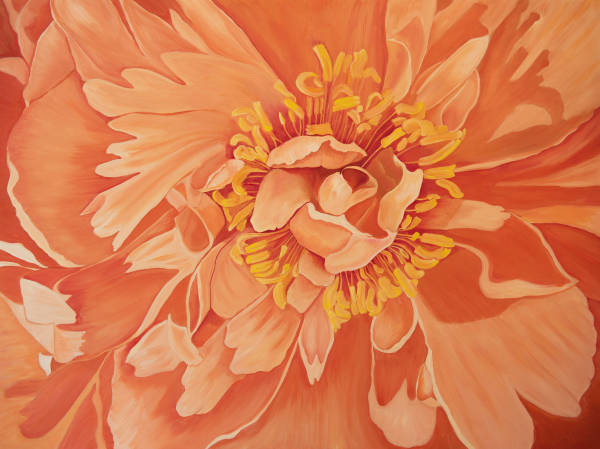 Coral Peony by Margaret Galvin Johnson